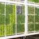 Illustration for article titled Behold the Gigantic Vertical Farm That the US Built For the Worlds Fair